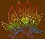 cropped-rainbow-lotus-brown-low-res.jpg